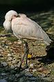 Zoo Schmiding 016